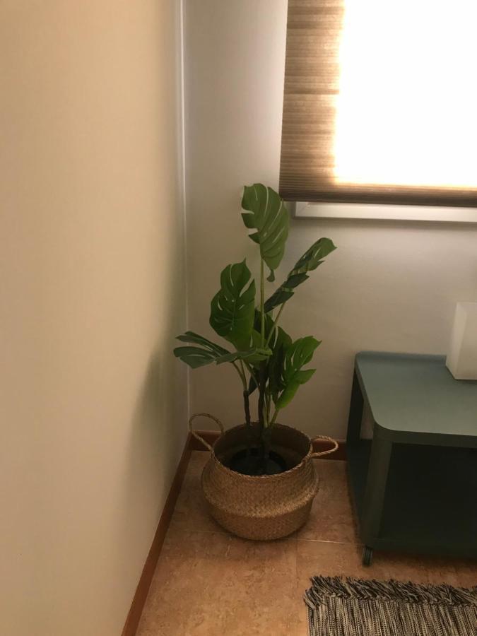 Apartamento Recien Reformado Con Vistas Al Rio Balaguer Eksteriør billede